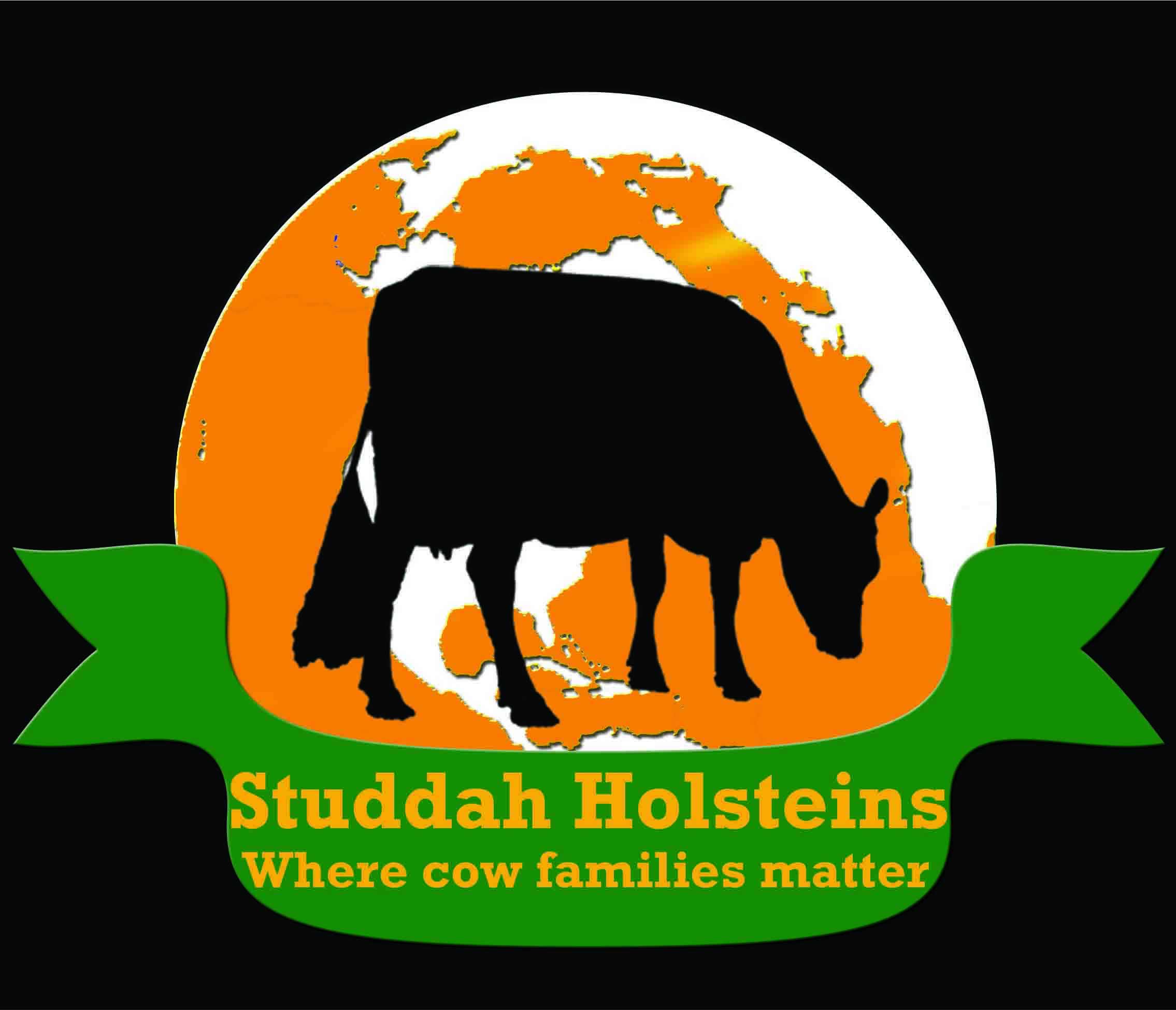 studdah logo for website